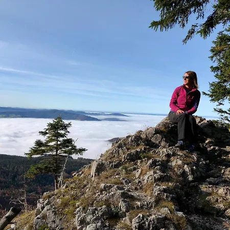 아파트 Jodlbauerhof *