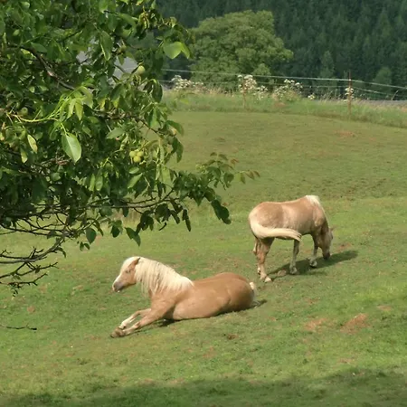 Jodlbauerhof Daire Weyregg am Attersee