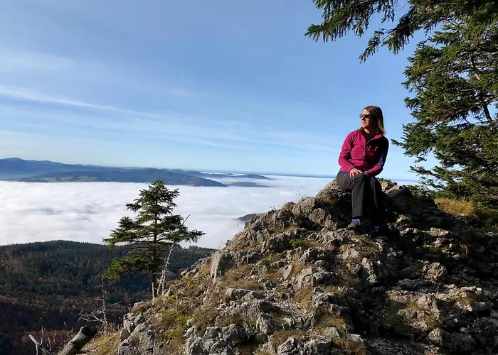 Appartement Jodlbauerhof *