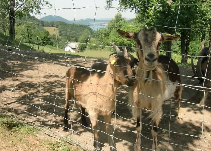 Jodlbauerhof Apartment *