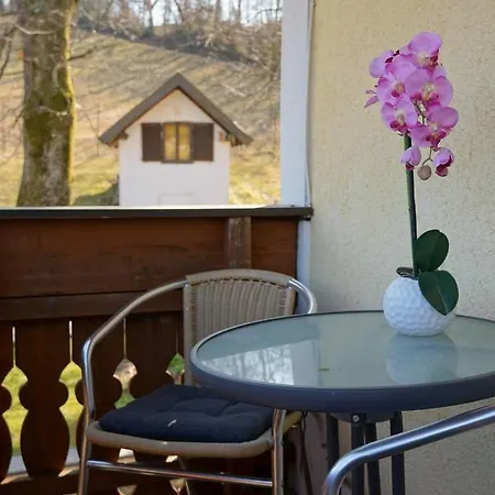 Jodlbauerhof Apartment Weyregg