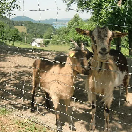 Jodlbauerhof Apartment *
