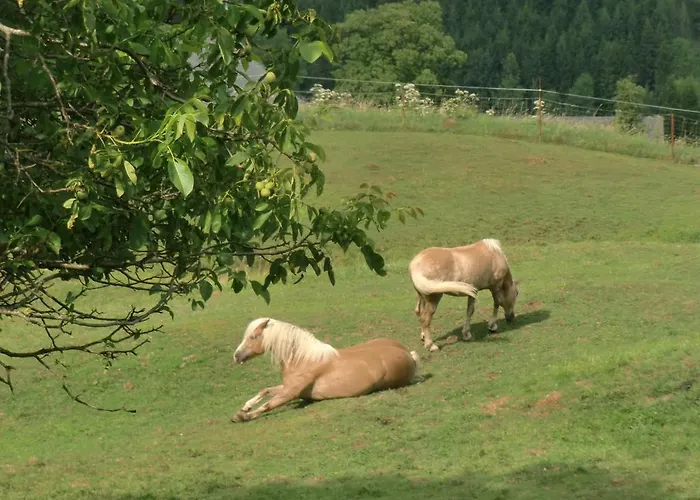 Jodlbauerhof 아파트 바이레크